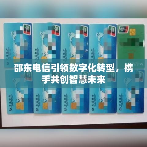 邵东电信引领数字化转型，携手共创智慧未来