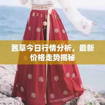 茜草今日行情分析，最新价格走势揭秘