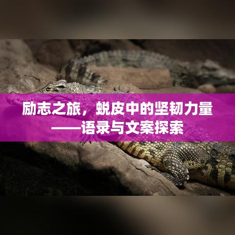 励志之旅，蜕皮中的坚韧力量——语录与文案探索