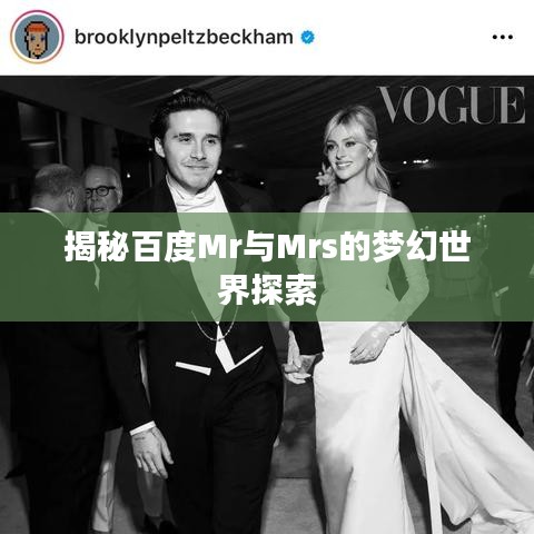 揭秘百度Mr与Mrs的梦幻世界探索