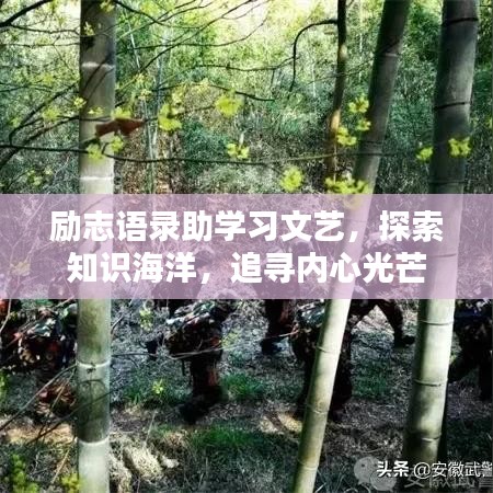 励志语录助学习文艺，探索知识海洋，追寻内心光芒