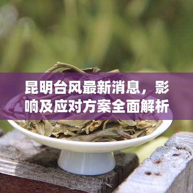 昆明台风最新消息，影响及应对方案全面解析