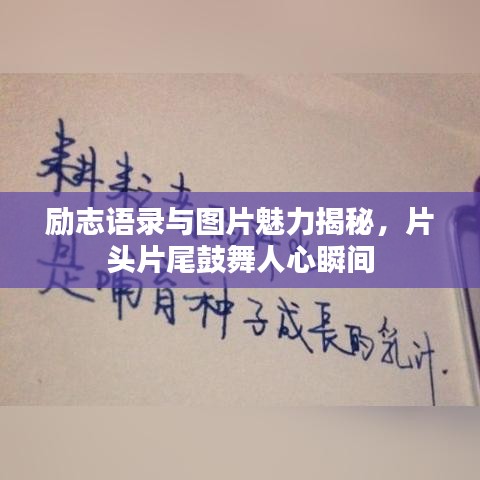 励志语录与图片魅力揭秘，片头片尾鼓舞人心瞬间