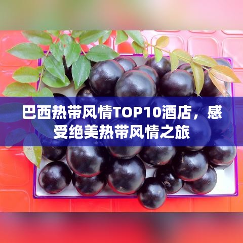 巴西热带风情TOP10酒店，感受绝美热带风情之旅