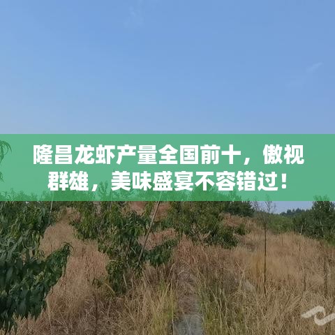 隆昌龙虾产量全国前十，傲视群雄，美味盛宴不容错过！