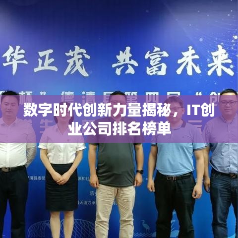数字时代创新力量揭秘，IT创业公司排名榜单