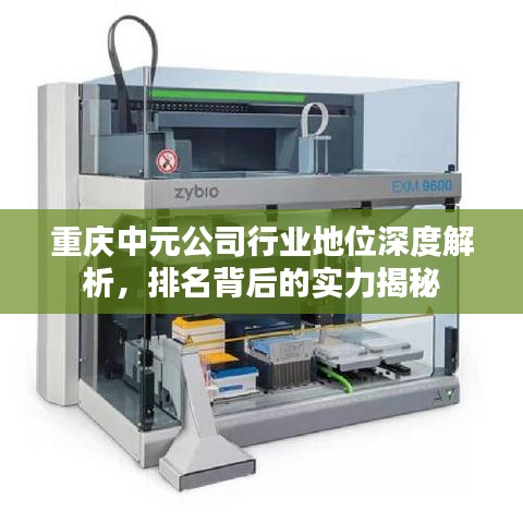 重庆中元公司行业地位深度解析，排名背后的实力揭秘