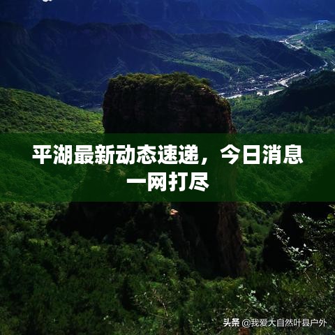 平湖最新动态速递，今日消息一网打尽