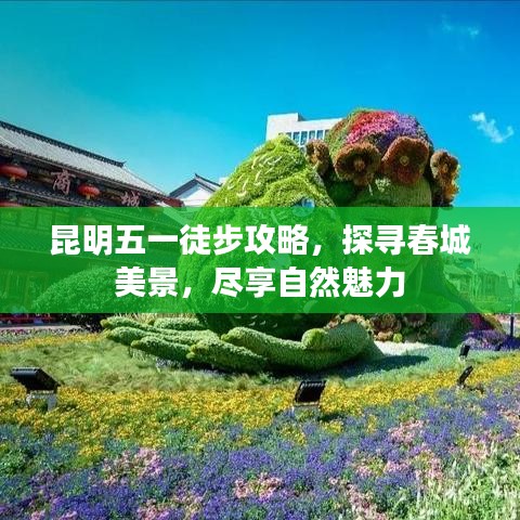 昆明五一徒步攻略，探寻春城美景，尽享自然魅力