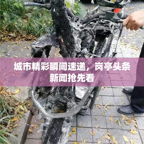 城市精彩瞬间速递，岗亭头条新闻抢先看