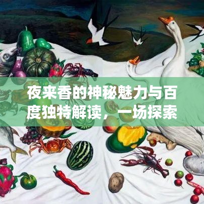 夜来香的神秘魅力与百度独特解读，一场探索之旅