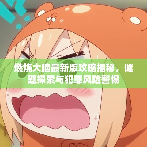 燃烧大脑最新版攻略揭秘，谜题探索与犯罪风险警惕