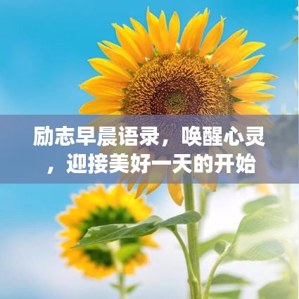 励志早晨语录，唤醒心灵，迎接美好一天的开始