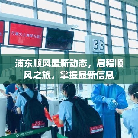 浦东顺风最新动态，启程顺风之旅，掌握最新信息