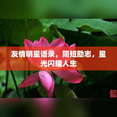 友情明星语录，简短励志，星光闪耀人生