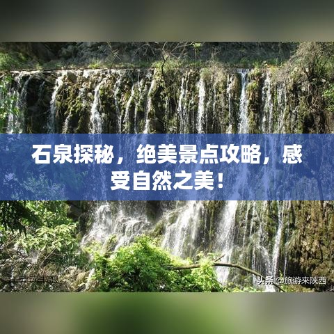 新闻中心 第874页