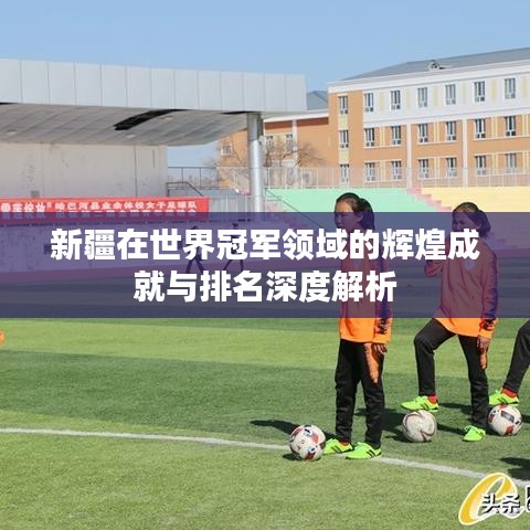 新疆在世界冠军领域的辉煌成就与排名深度解析