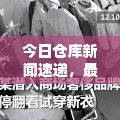 今日仓库新闻速递，最新动态概览