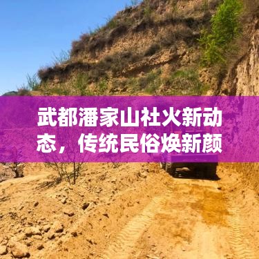 武都潘家山社火新动态，传统民俗焕新颜