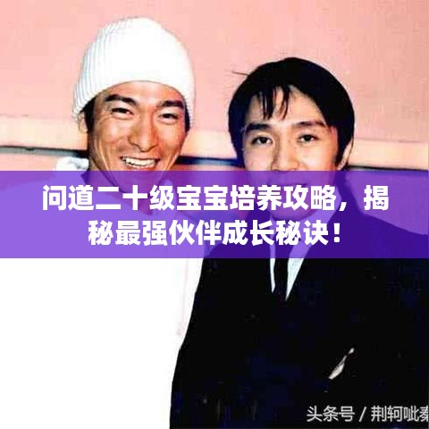问道二十级宝宝培养攻略，揭秘最强伙伴成长秘诀！