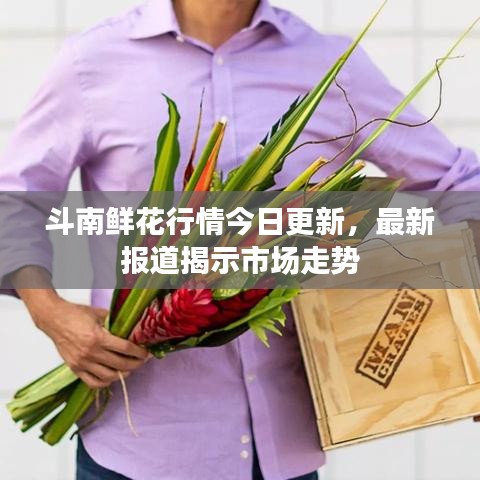 斗南鲜花行情今日更新，最新报道揭示市场走势