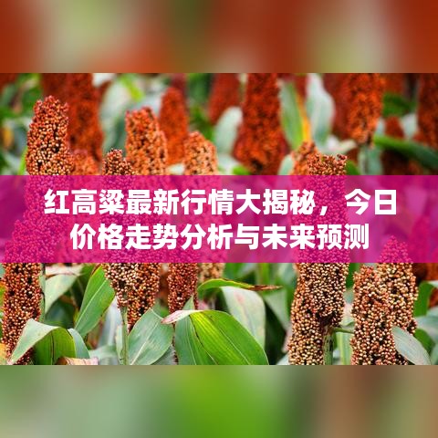 新闻中心 第875页