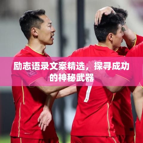 励志语录文案精选，探寻成功的神秘武器