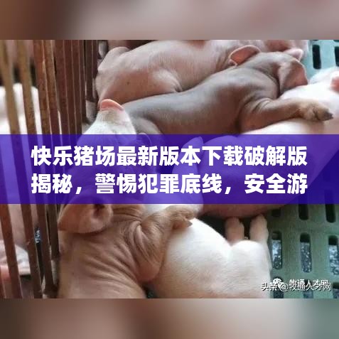 快乐猪场最新版本下载破解版揭秘，警惕犯罪底线，安全游戏为先