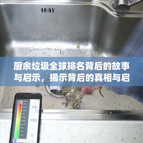 厨余垃圾全球排名背后的故事与启示，揭示背后的真相与启示