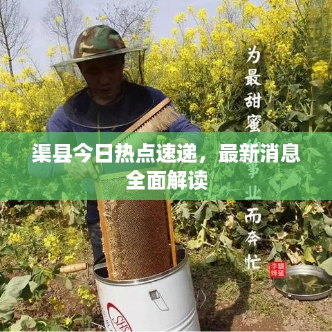 渠县今日热点速递，最新消息全面解读