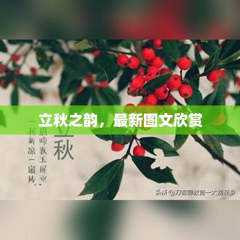 立秋之韵，最新图文欣赏