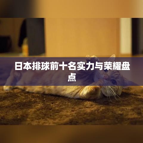日本排球前十名实力与荣耀盘点
