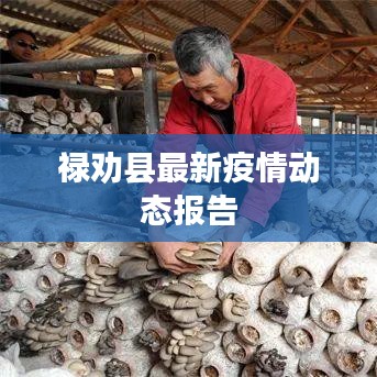 禄劝县最新疫情动态报告