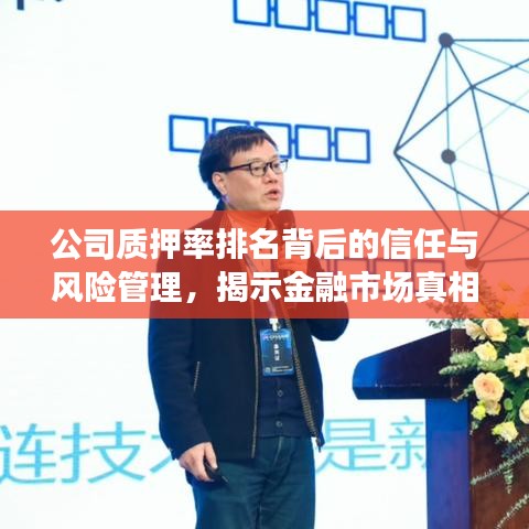 公司质押率排名背后的信任与风险管理，揭示金融市场真相！