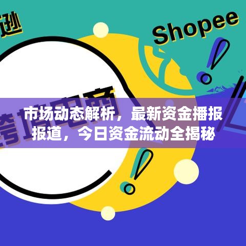 市场动态解析，最新资金播报报道，今日资金流动全揭秘