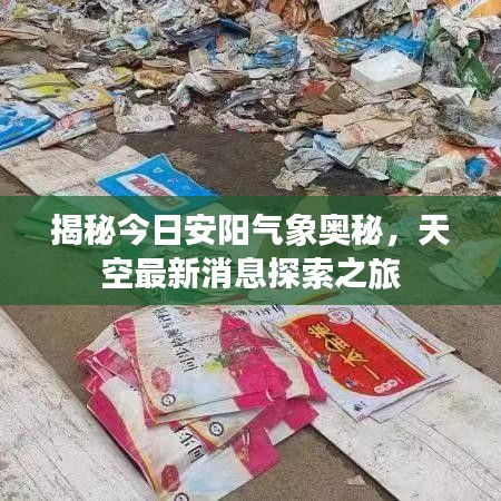 新闻中心 第856页