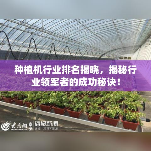 种植机行业排名揭晓，揭秘行业领军者的成功秘诀！