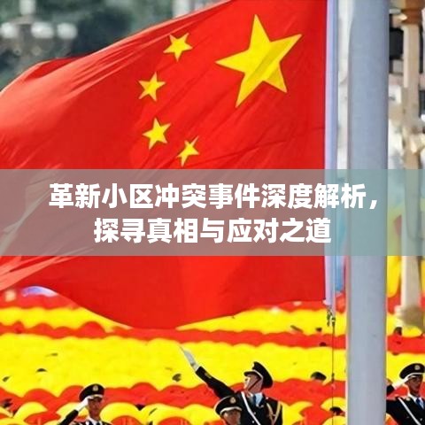 革新小区冲突事件深度解析，探寻真相与应对之道