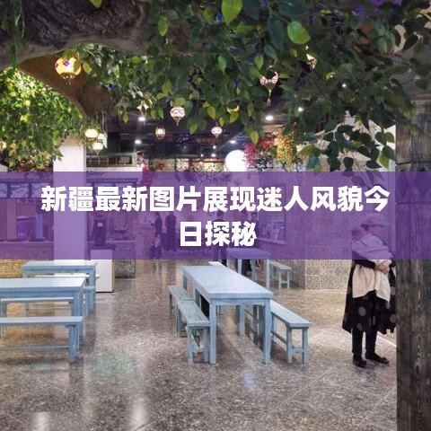 新疆最新图片展现迷人风貌今日探秘
