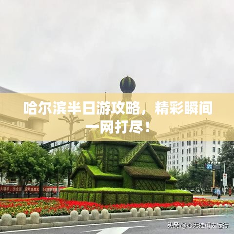 哈尔滨半日游攻略，精彩瞬间一网打尽！