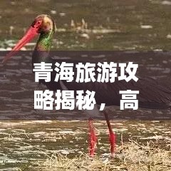 情不自禁 第2页