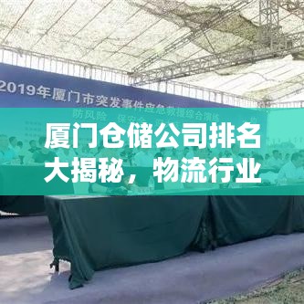 厦门仓储公司排名大揭秘，物流行业佼佼者榜单出炉！