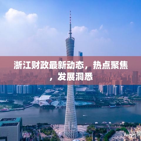 浙江财政最新动态，热点聚焦，发展洞悉