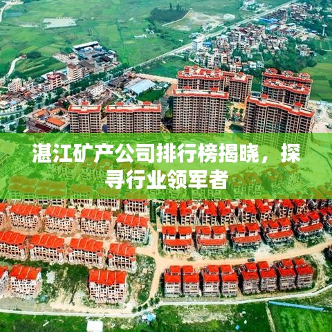 湛江矿产公司排行榜揭晓，探寻行业领军者