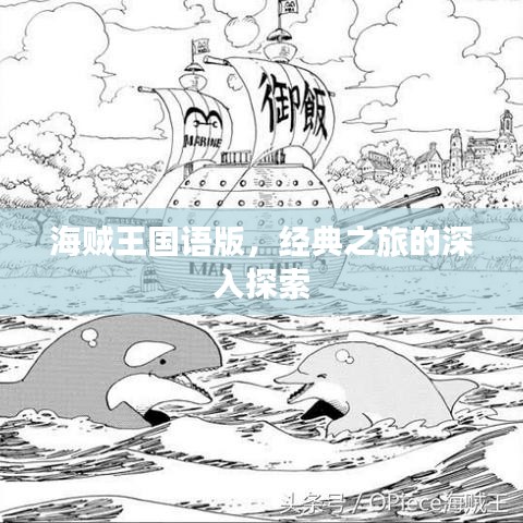 海贼王国语版，经典之旅的深入探索