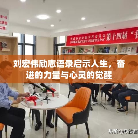 夯雀儿先飞 第2页
