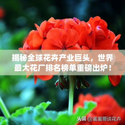 目不转睛 第2页