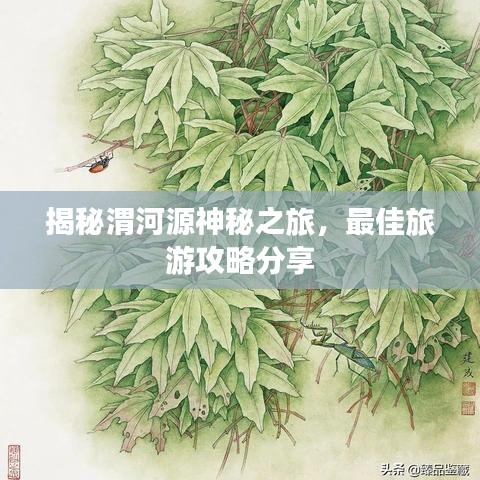 揭秘渭河源神秘之旅，最佳旅游攻略分享