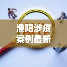 濮阳涉疫案例最新动态，深度分析、应对之道与查询指南