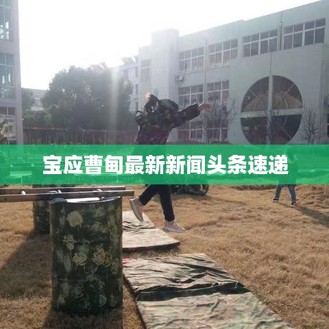 宝应曹甸最新新闻头条速递